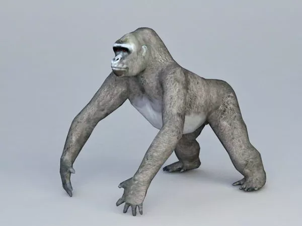 Black Gorilla 3d model Black Gorilla 3d model