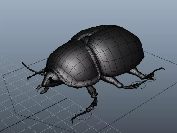 Black Lawn Beetle Rig Character 3d model Black Lawn Beetle Rig Character 3d model