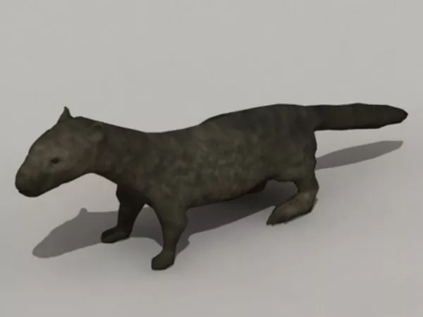 Misty Stream In Jungle 3d model