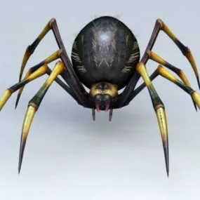 Black Yellow Spider 3d model