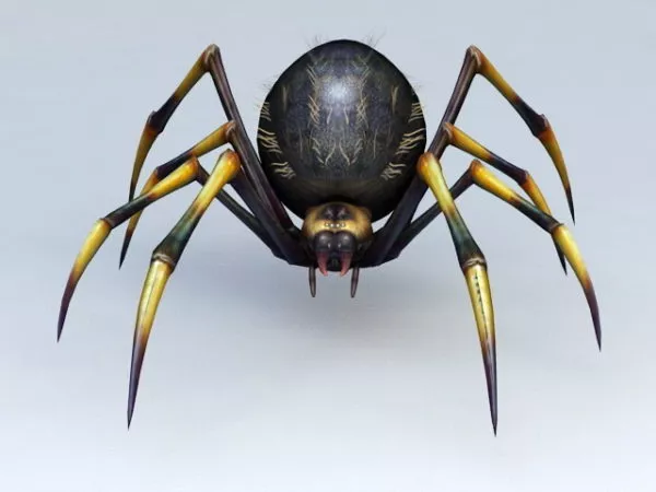 Black Yellow Spider 3d model Black Yellow Spider 3d model