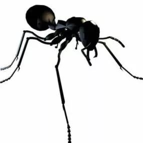 Black Ant Animal 3d model