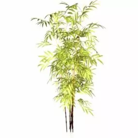 Black Bamboo Plants 3d model