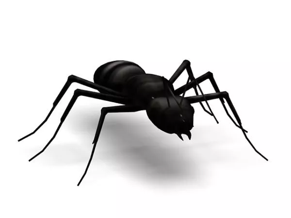 Ant Character 3d model