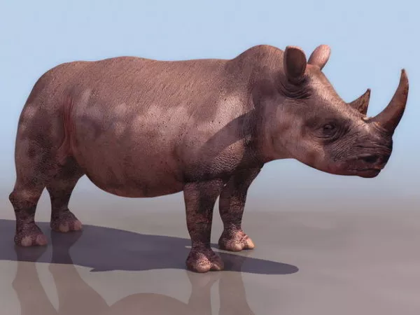 Low Poly Cartoon Hedgehog 3d model