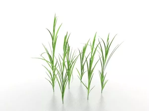 Blades Of Grass 3d model Blades Of Grass 3d model