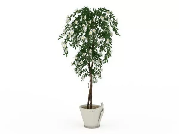 Blooming Potted Tree 3d model Blooming Potted Tree 3d model