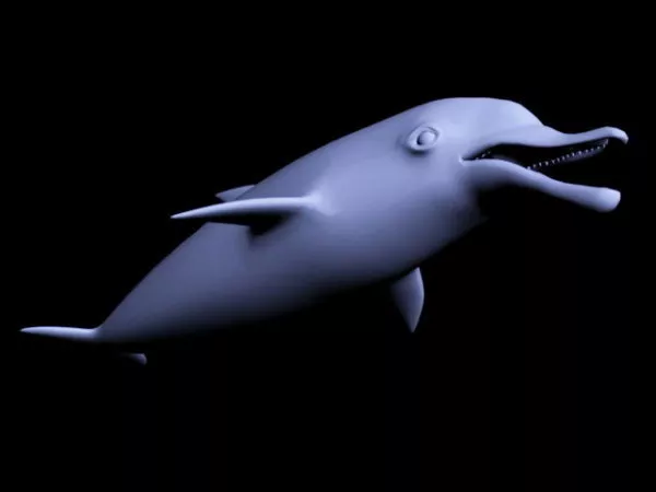 Blue Dolphin 3d model Blue Dolphin 3d model