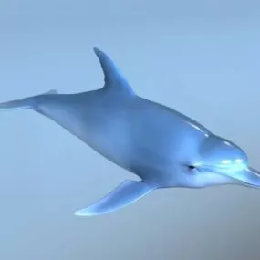 Blue Dolphin Rig 3d model