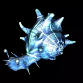 Blue Mystery Snail 3d model