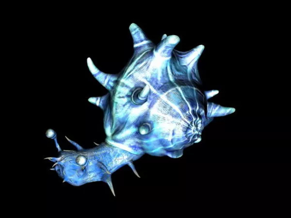 Blue Mystery Snail 3d model Blue Mystery Snail 3d model