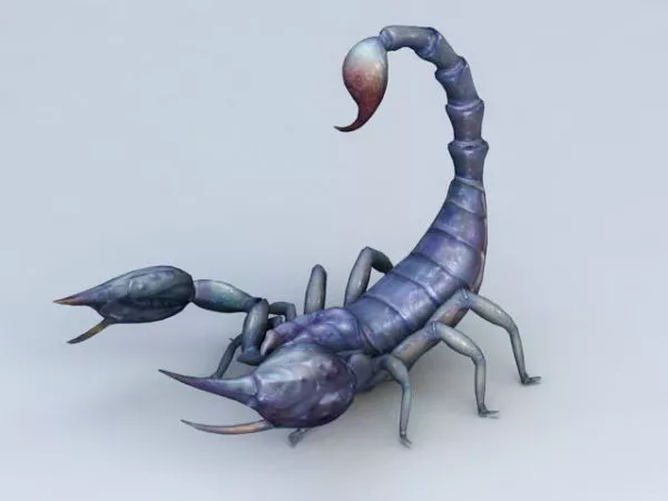 Desert Insect Scorpion 3d model