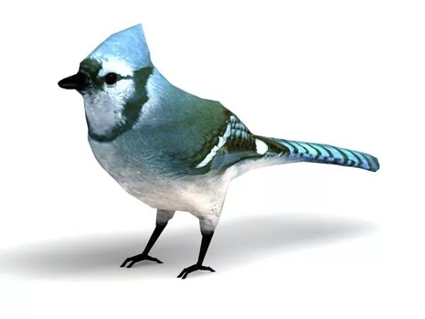 Animated Flying Crane 3d model