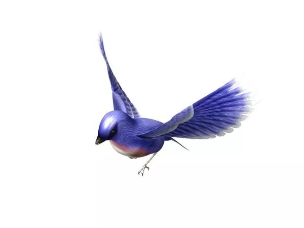 Bird Monster 3d model