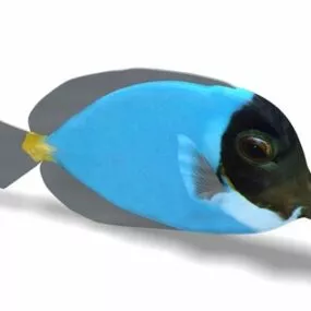 Blue Tropical Fish Animal 3d model