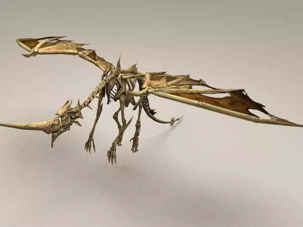 Bone Drake Dragon 3d model Bone Drake Dragon 3d model