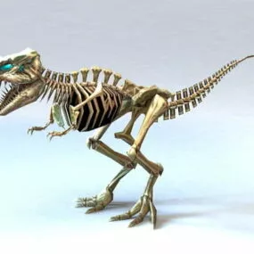 Bone Tyrannosaurus Rex 3d model