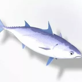 Bonito Sea Fish 3d model