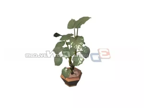 Japanese Bonsai Decoration 3d model