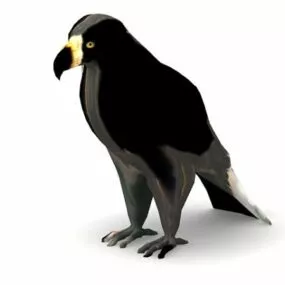 Booted Eagle Animal 3d model