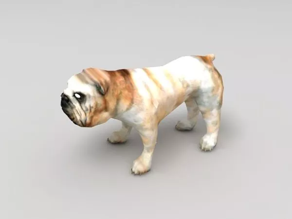 British Bulldog Animal 3d model British Bulldog Animal 3d model