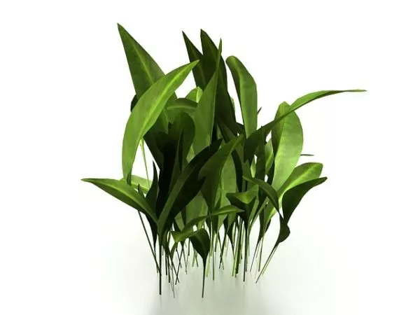Realistic Grass Pack 3d model
