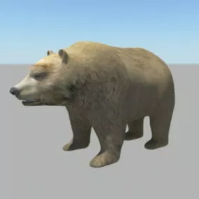 Brown Bear 3d model
