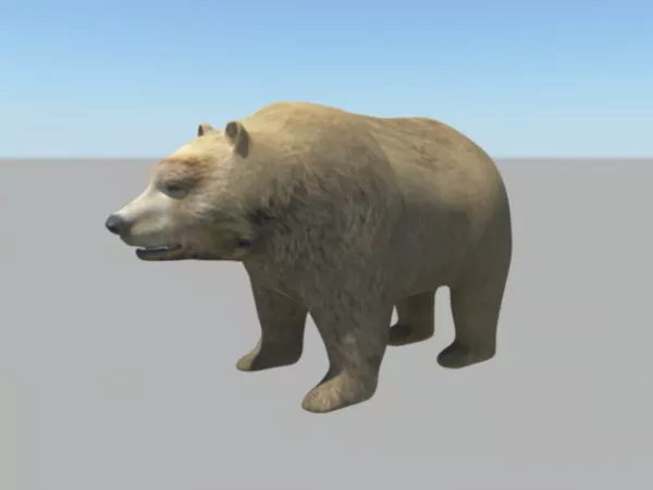 Brown Bear 3d model Brown Bear 3d model