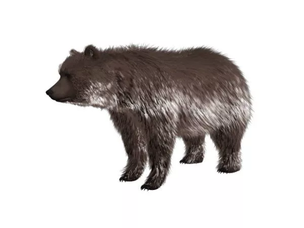 Old Teddy Bear 3d model