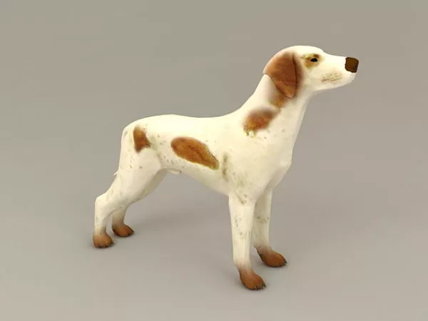Brown And White Small Dog 3d model Brown And White Small Dog 3d model