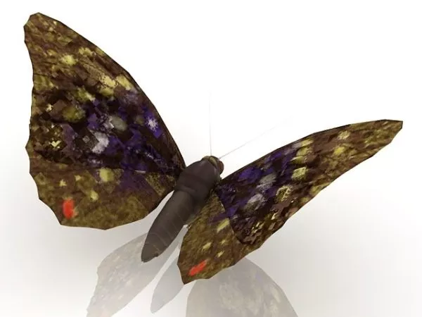 Blue Butterfly, Lowpoly Butterfly 3d model