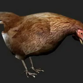 Brown Hen Character 3d model