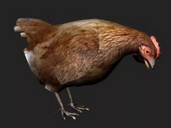 Brown Hen Character 3d model Brown Hen Character 3d model