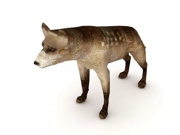 Brown Hyena Animal 3d model Brown Hyena Animal 3d model