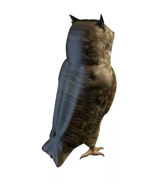 Brown Owl Bird Animal 3d model Brown Owl Bird Animal 3d model