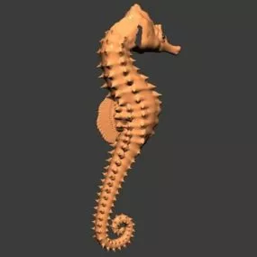 Brown Seahorse Animal 3d model