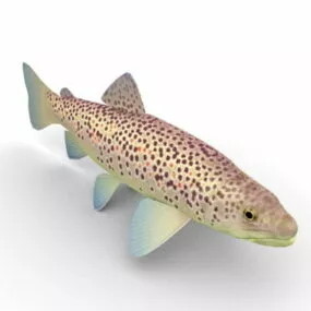 Brown Trout Fish Animal 3d model