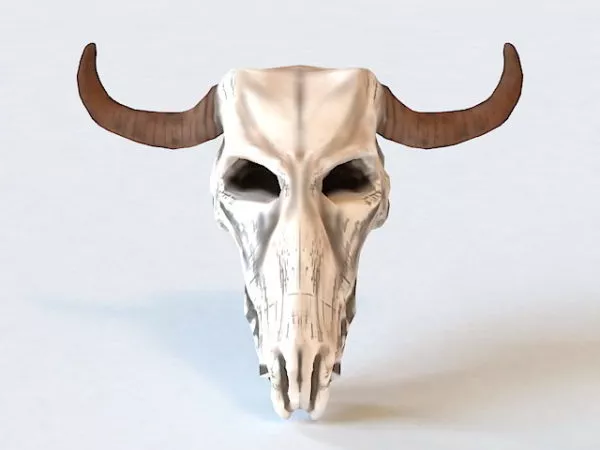 Aged Man Head 3d model