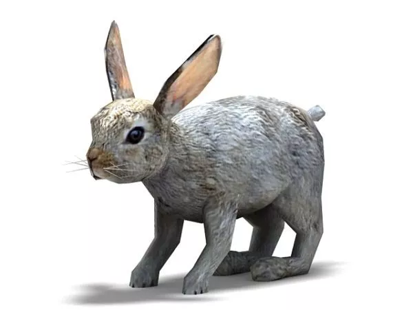 Bunny Monster Character 3d model