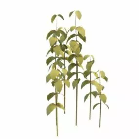 Bush Plant 3d model