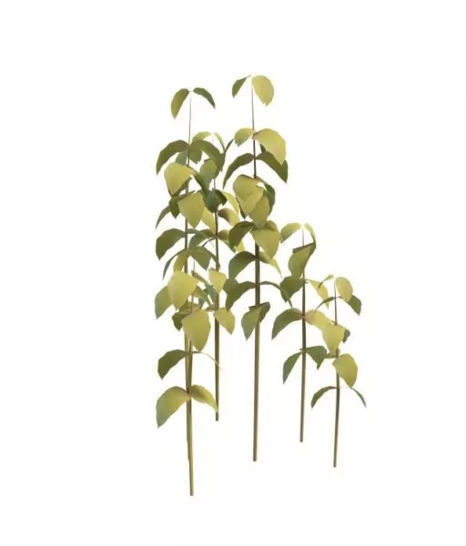 Vertical Bushes Decoration 3d model
