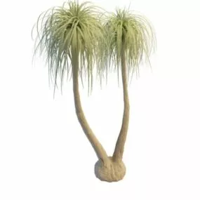 Cabbage Tree 3d model