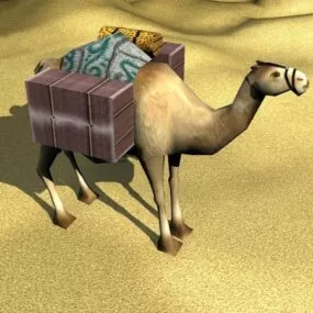 African Camel On Desert 3d model