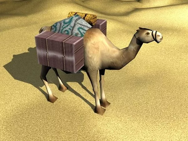 African Camel On Desert 3d model African Camel On Desert 3d model