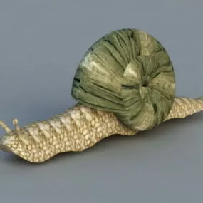 Caracol Animal 3d model