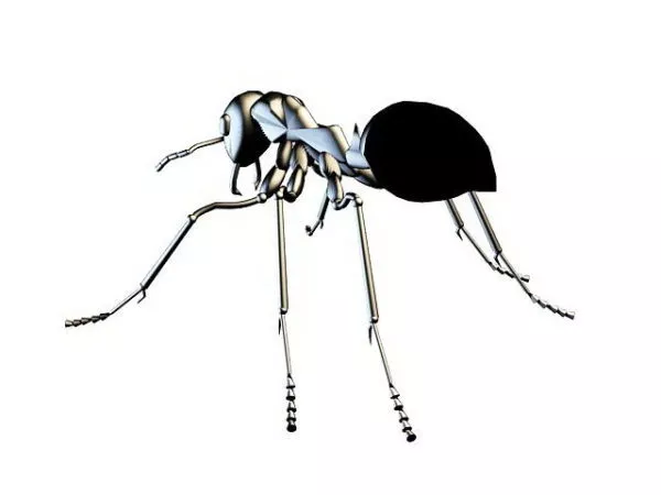 Lowpoly Black Ant 3d model