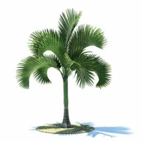 Carpoxylon Macrospermum Tree 3d model