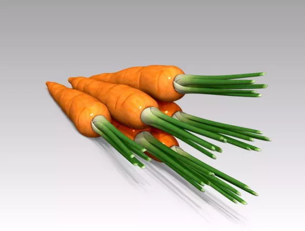 Carrot Vegetable 3d model Carrot Vegetable 3d model