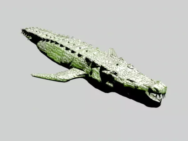 Cartoon Crocodile Low Poly 3d model