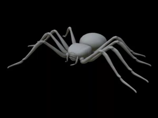Animated Black Spider 3d model